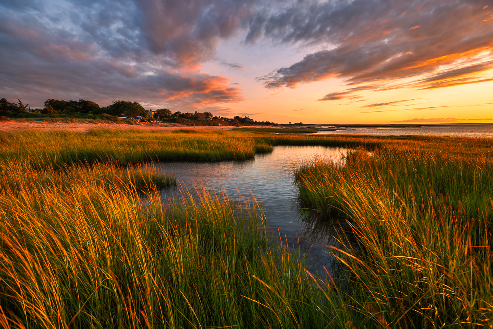 Cape Cod