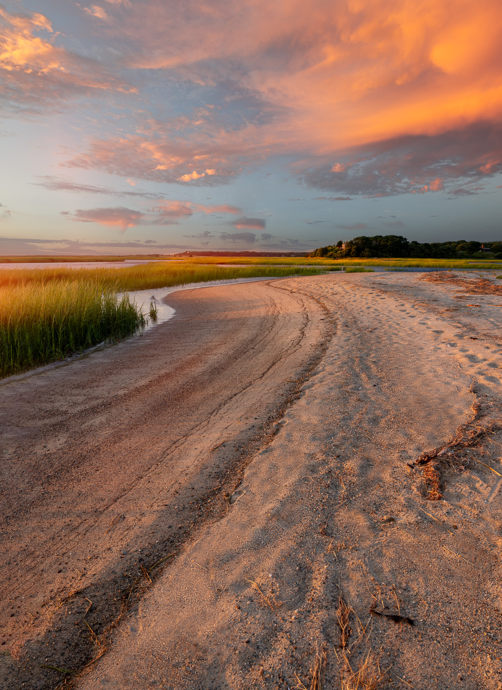 Cape Cod