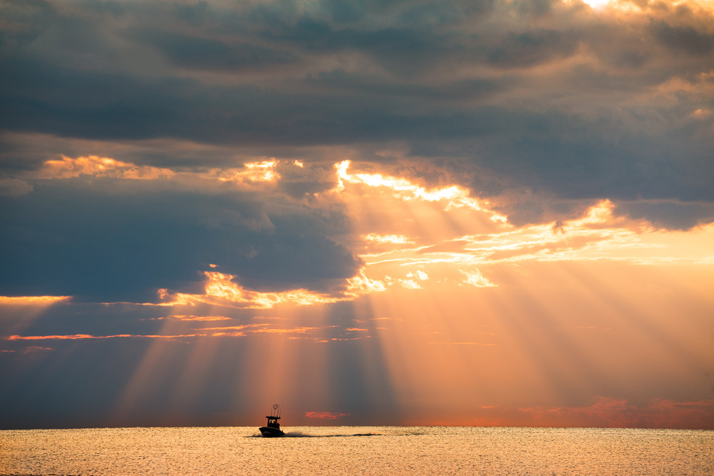 Cape Cod