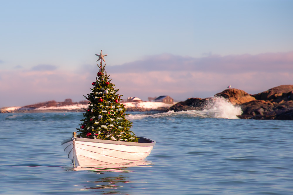 holiday winter