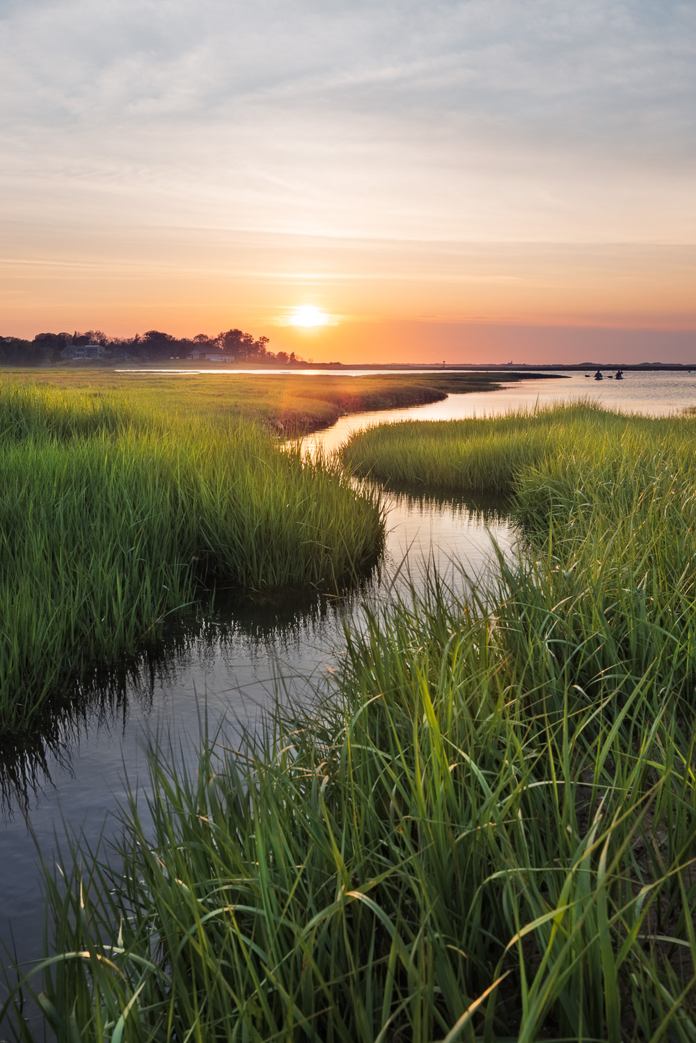 Cape Cod