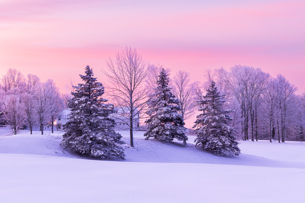 holiday winter