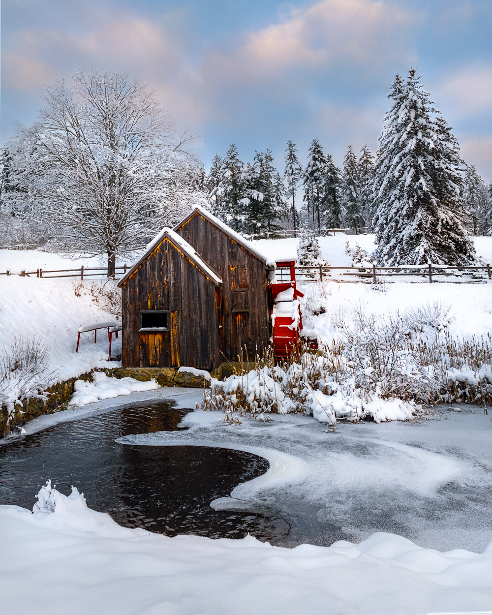 holiday winter